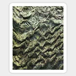 Tree-bark Sticker